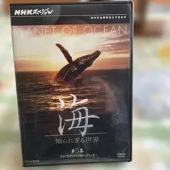 【中古】NHKスペシャル 海 知られざる世界 第5集 クジラだけが知っている [DVD] NHKスペシャル 海 知られざる世界 第5集 クジラだけが知っている