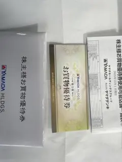 ヤマダ電気　お買物優待券 500円✖️10枚