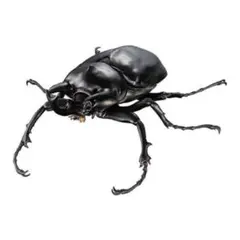 新品　アクティオンゾウカブト　いきもの大図鑑アドバンス　昆虫　生き物　ガチャ