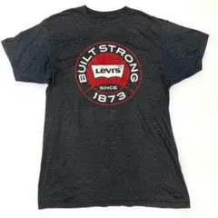 Levi's BUILT STRONG Tシャツ Mサイズ 半袖 古着
