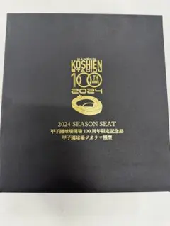 Santa様専用】阪神甲子園球場 開場100周年記念 ジオラマ模型