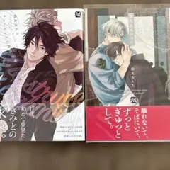 キューピッドに落雷　追撃、落花流水のホシ　2冊セット