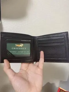 Item thumbnail for item 60272511-4ea8-48ec-9bd1-0e925e87be5c