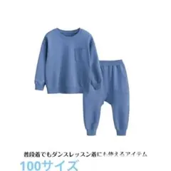 セットアップ スエット上下セット トレーナー 100サイズ
