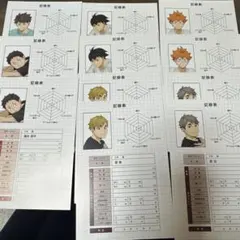 ハイキューポストカード11枚セット