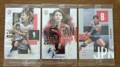 ウエハース　バレーボール 日本代表 3枚セット バラ売り可
