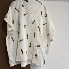 アンティカトップス