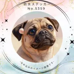 spring様 リクエスト 5点 まとめ商品