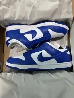 NIKE DUNK LOW SP 新品のサムネイル