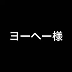 ヨーヘー様 リクエスト 2点 まとめ商品