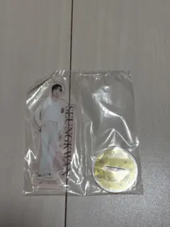 SEUNGKWAN スングァン アクリルスタンド