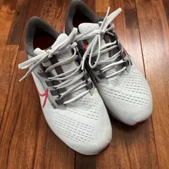 Item thumbnail for item 2d8a02bc-d988-492b-9346-27a4624f963a