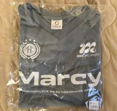 Item thumbnail for item 3f33eac8-2bc5-479d-a99b-a836535636af