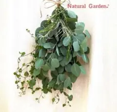 Item thumbnail for item 73372e21-8310-4a60-8204-89136a19e9a1