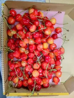 山形県産 訳あり 佐藤錦 さくらんぼ 箱込み850g - メルカリ