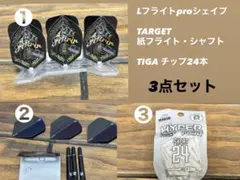 Lフライトpro(シェイプ)/TARGET紙フライト・シャフト/TIGAチップのサムネイル