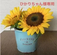 ひかりちゃん様確認用