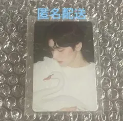 TXT スビンstarkissed トレカ