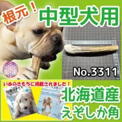 中型犬用 エゾ鹿の角 根元１本 北海道産 犬のおもちゃ 33114のサムネイル