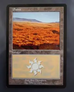 magic: The Gathering Plains 1993