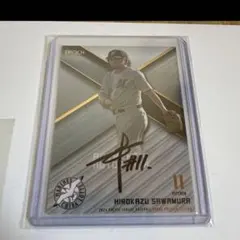 Item thumbnail for item 5c3d25ee-fcbd-45e5-b6ea-6b49e2f63af7