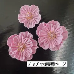 チャチャ様専用ページ