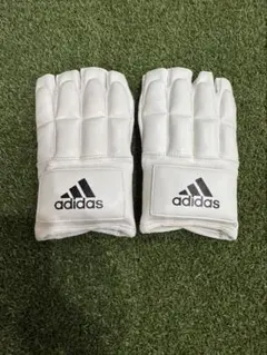 Item thumbnail for item 8c728ffa-2c88-412e-8382-56f137e3542c