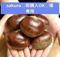 sakura♡即購入OK♡様専用ページ