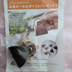 Dakota 本革キーホルダー 非売品　グリーン