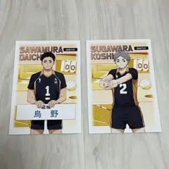 ハイキュー 主将副主将フェア