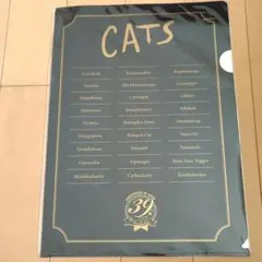 Item thumbnail for item a89fc3c5-f010-4ea4-b4fb-077868c7e488