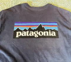 patagonia メンズ ロングスリーブ P-6ロゴ レスポンシビリティー M