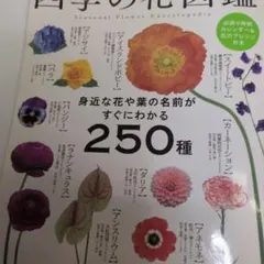 四季の花図鑑 = Seasonal Flower Encyclopedia :…