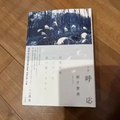 Item thumbnail for item dd589dec-1d75-4a47-9a7a-7c45b7cfca73