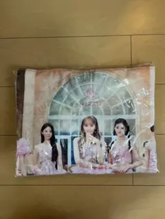 NiziU ココ夏フェス アップグレード特典 プリントタオル