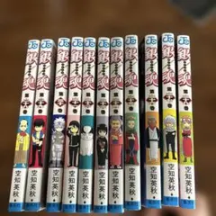 銀魂―ぎんたま― 28〜38 11冊セット