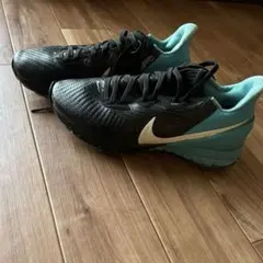 NIKE AIR zoom 24.5cm