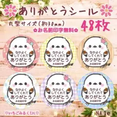 NA1e ありがとうシール シマエナガちゃん 丸型サイズ 6色48枚セット