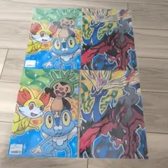ポケモン A4クリアファイル3枚セット XY　非売品