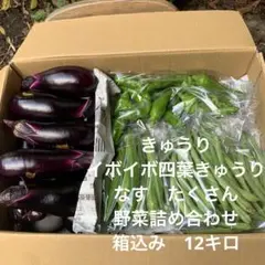 b宮城県産　訳あり　新鮮野菜詰め合わせ 箱込み12キロ