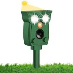 Item thumbnail for item 8d629e87-2347-4b6e-a9bd-5d95d6790d17