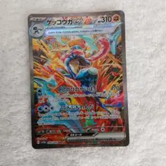 でびるん様専用 ゲッコウガex SAR