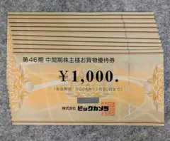 【最新】ビックカメラ 株主優待 買い物 50000円分 コジマ 家電 電化製品