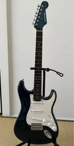 2025年最新】selder ストラトの人気アイテム - メルカリ