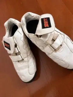 Item thumbnail for item 2b768d80-d8c3-4ca3-9317-e4360d05ea34