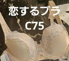 251999 トリンプ　恋するブラ　ブラジャー　c75