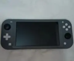 スイッチライト グレー 簡易動作確認済 ジャンク扱い　本体のみ