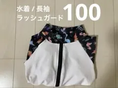 Item thumbnail for item fe3ac544-5e6a-48b6-9ed4-32e9318df736