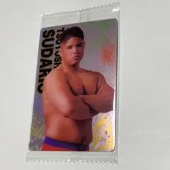 Item thumbnail for item 840fd3f9-6770-41f0-bc07-ec62ef264596