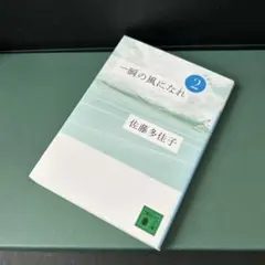 Item thumbnail for item 805e9c9f-eba1-47a8-a80c-1a710a619a2d